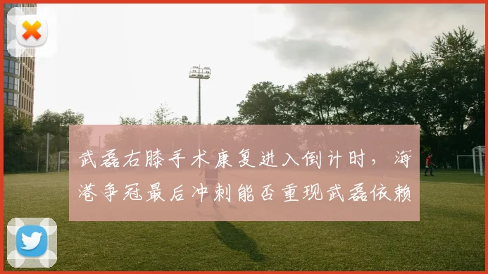 武磊右膝手术康复进入倒计时,海港争冠最后冲刺能否重现武磊依赖症?